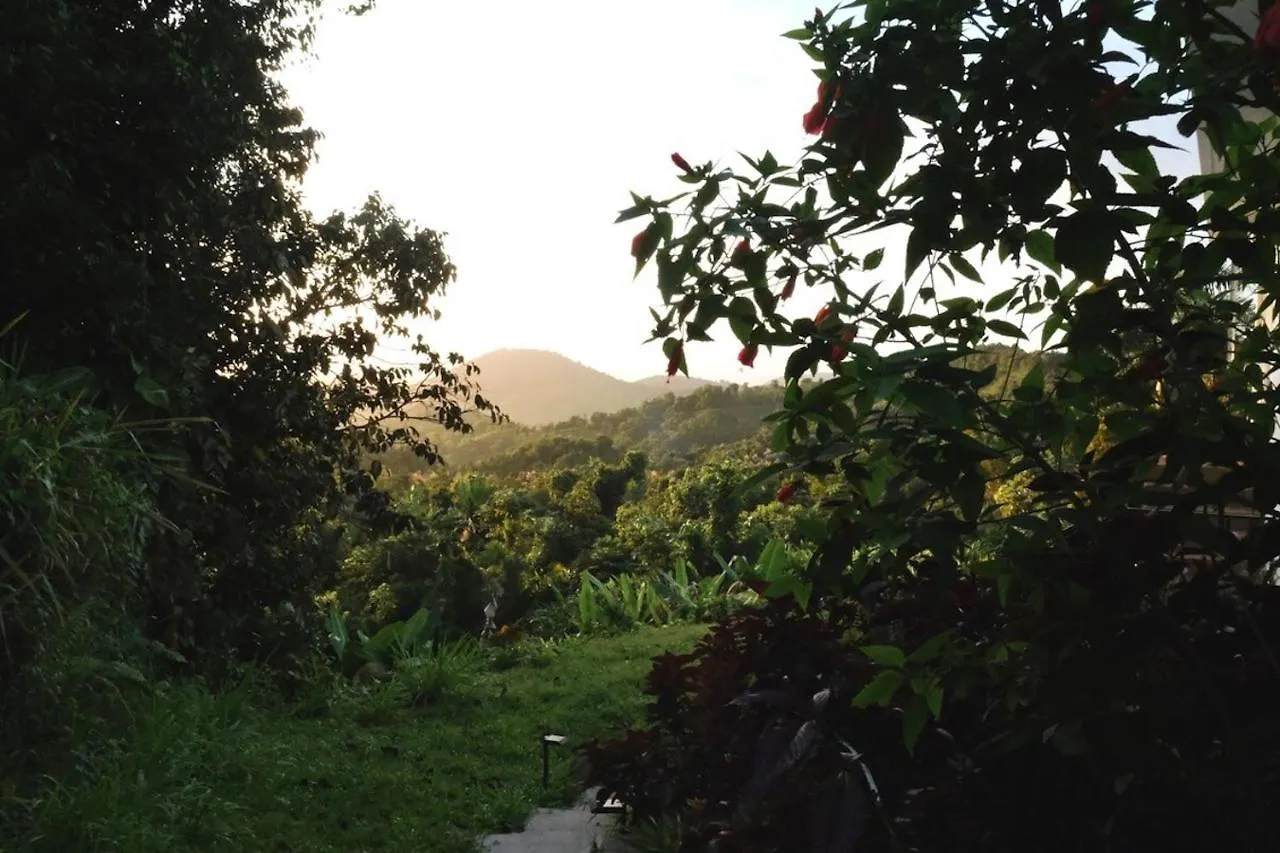 Naguabo Wald Haus By Dw 빌라
